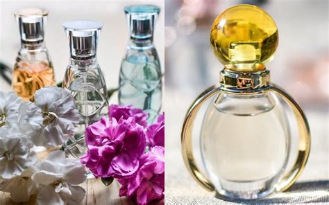 diferencias entre perfume y colonia.